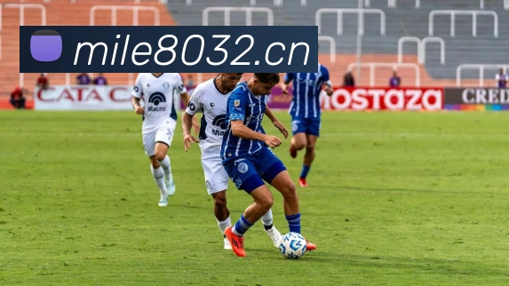 爱游戏体育最新官网平台生态图